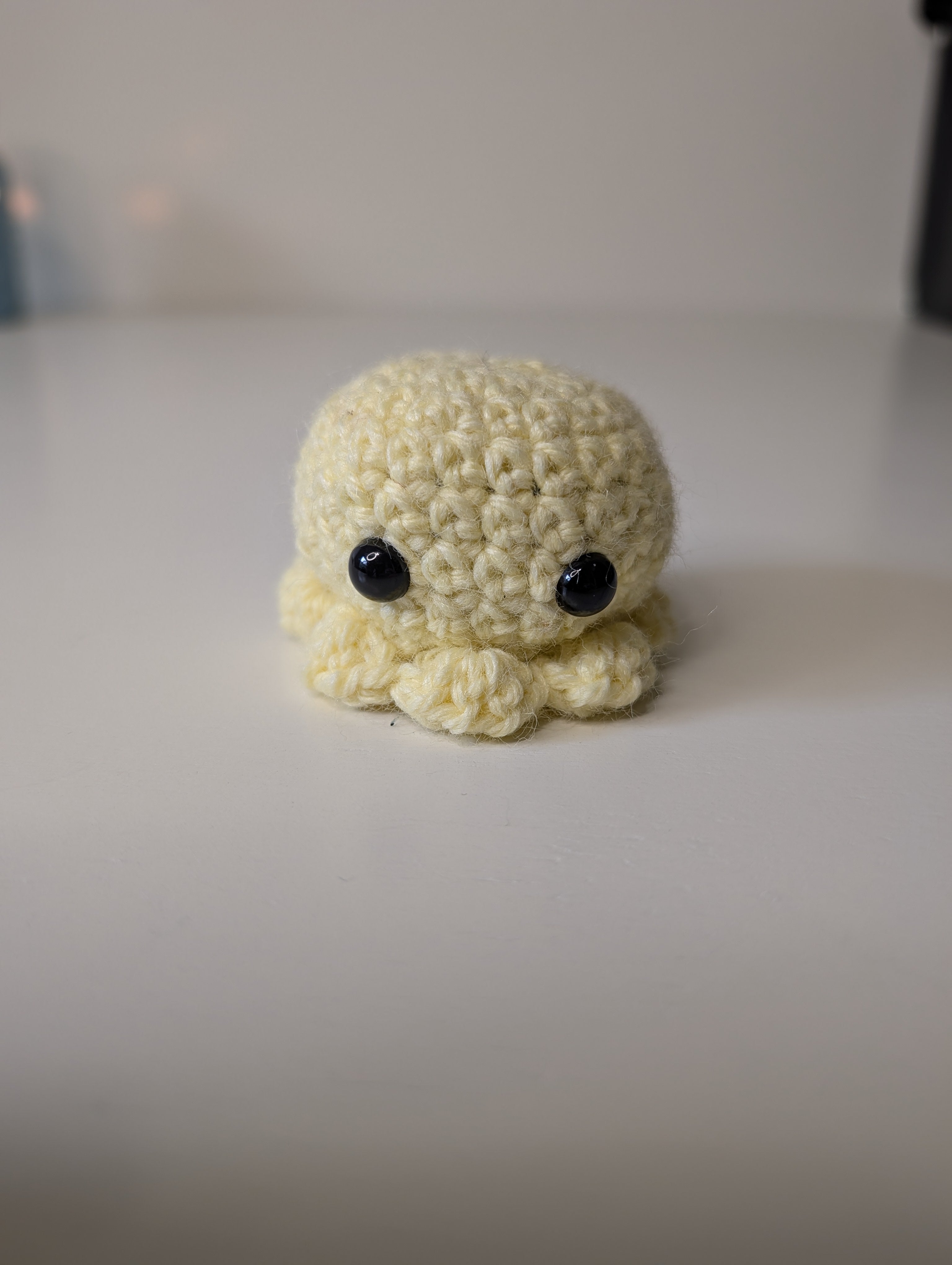 Small Octopus