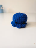 Small Octopus